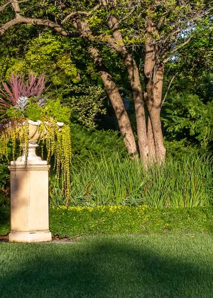 Urn with annuals on small stone pillar along a boxwood hedge.