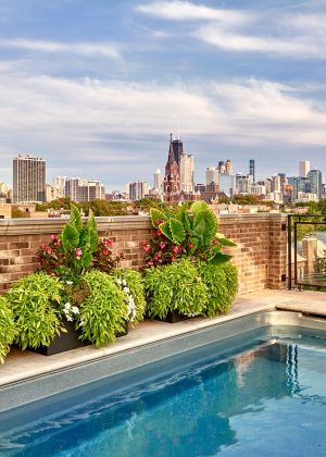 Rooftop pool with summer annual containers looking at the Chicago skyline.