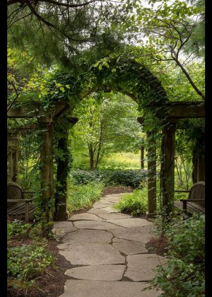 Arched wood arbor with an irregular flagstone path with climbing vines.