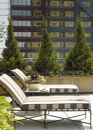 Green roof terrace with built-in planters and casual seating overlooking the Chicago skyline.