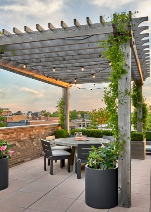 Chicago roof top terrace with a traditional wood pergola, climbing vines and seasonal containers.