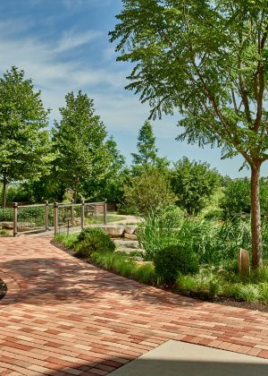 An award winning commercial landscape with an accessible brick walkway leading to various garden destinations.