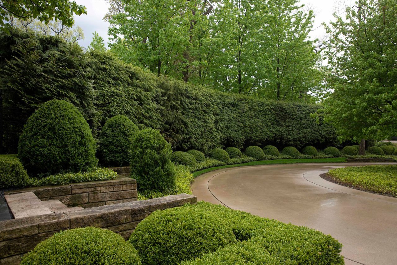 Concrete driveway lined with perfectly manicured boxwoods and an arborvitae hedge.