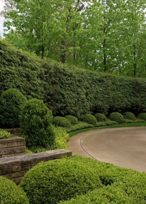 Concrete driveway lined with perfectly manicured boxwoods and an arborvitae hedge.