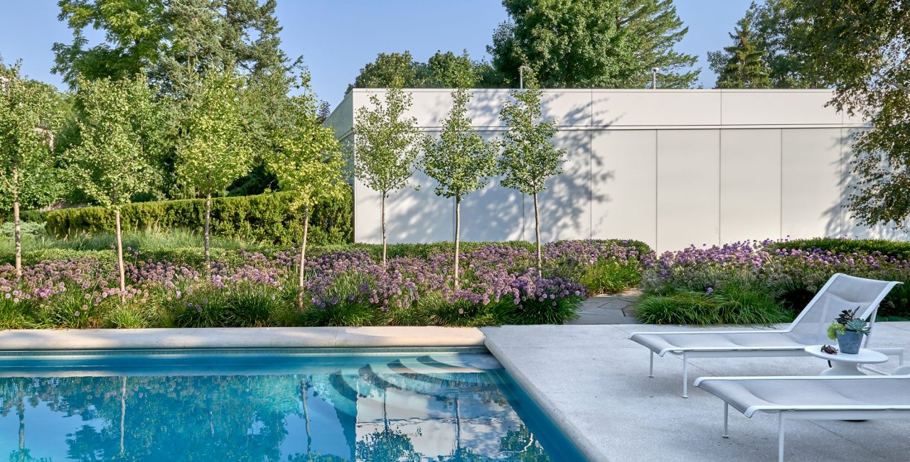 Tranquil pool with a backdrop of ginkgo trees and allium perennials.