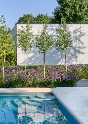 Tranquil pool with a backdrop of ginkgo trees and allium perennials.