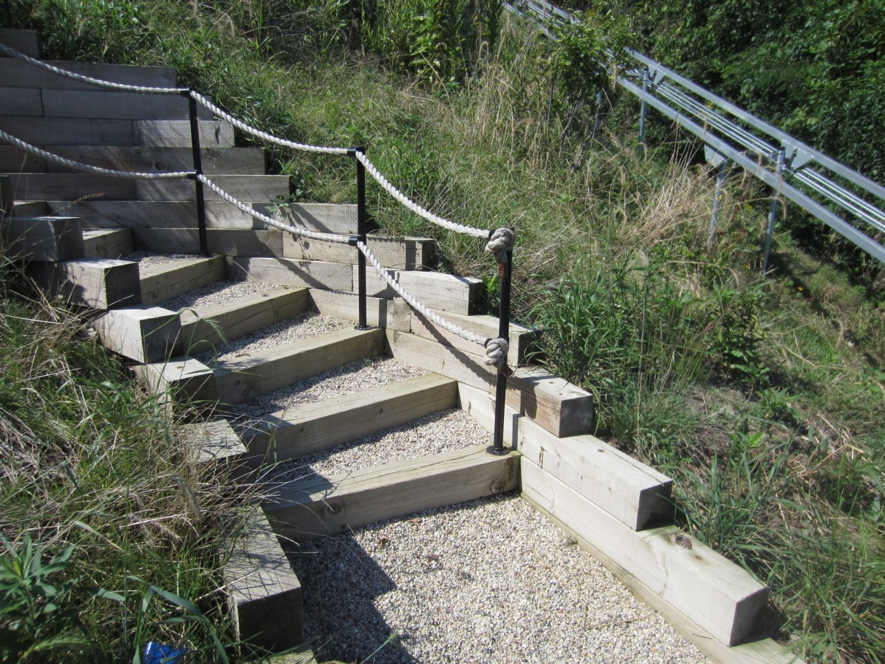 Timber Steps with Rope Railing