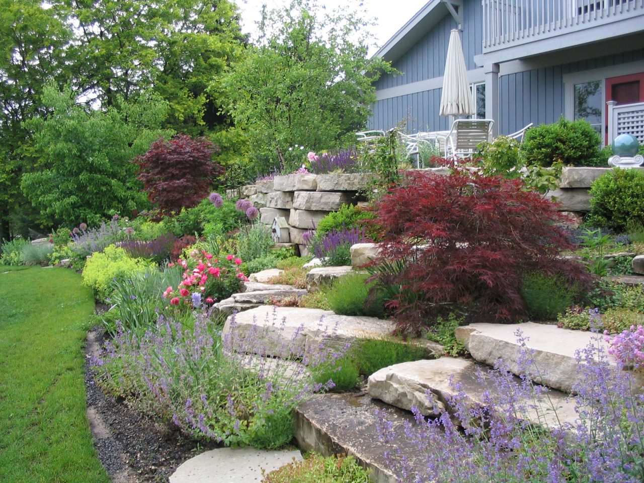Wisconsin perennial garden set in natural boulder wall with pink roses and Japanese Maple trees