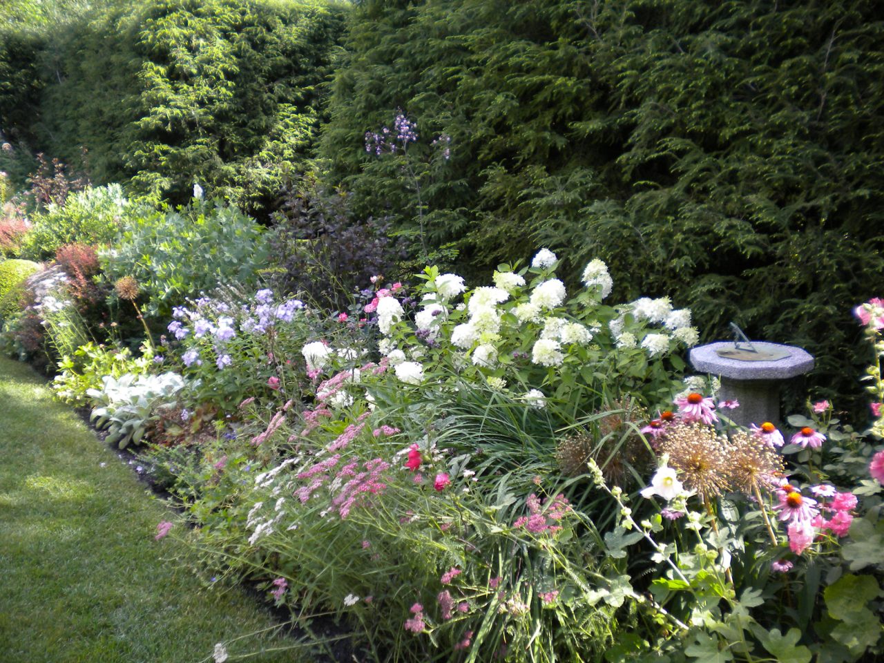 Lush perennial border with white hydrangea, and pink floral accents and sundial accent
