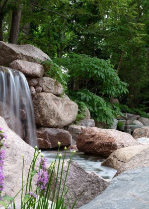 Waterfall surrounded by natural landscape featuring perennials
