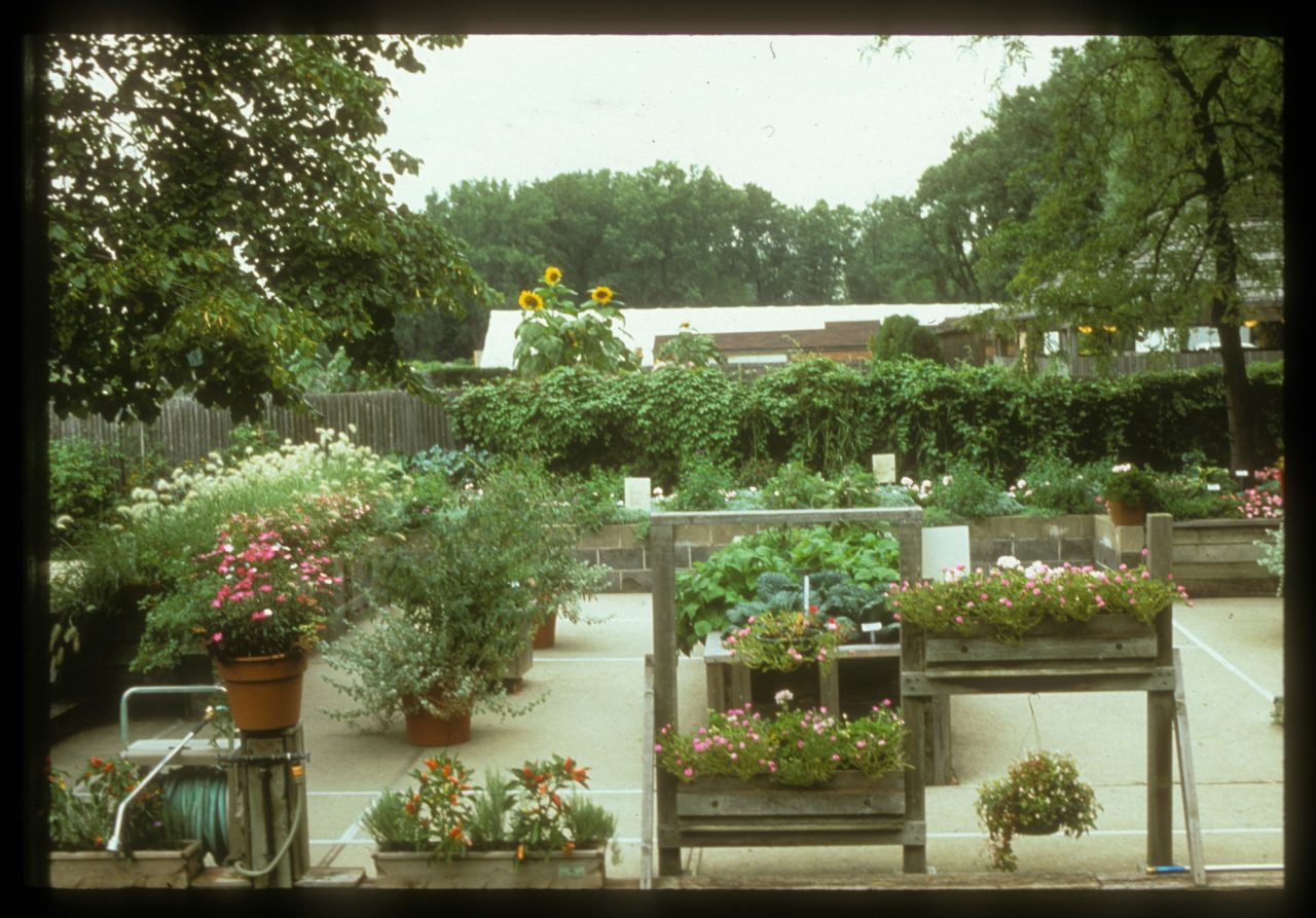 Enabling Garden at Chicago Botanic Garden