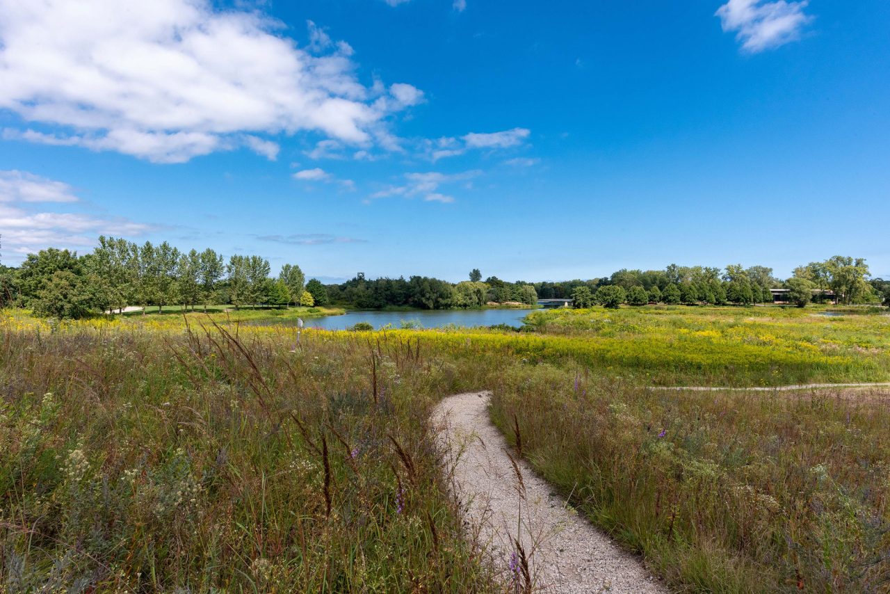 Gravel path through Dixon Prairie at Chicago Botanic Garden with scenic view of pond