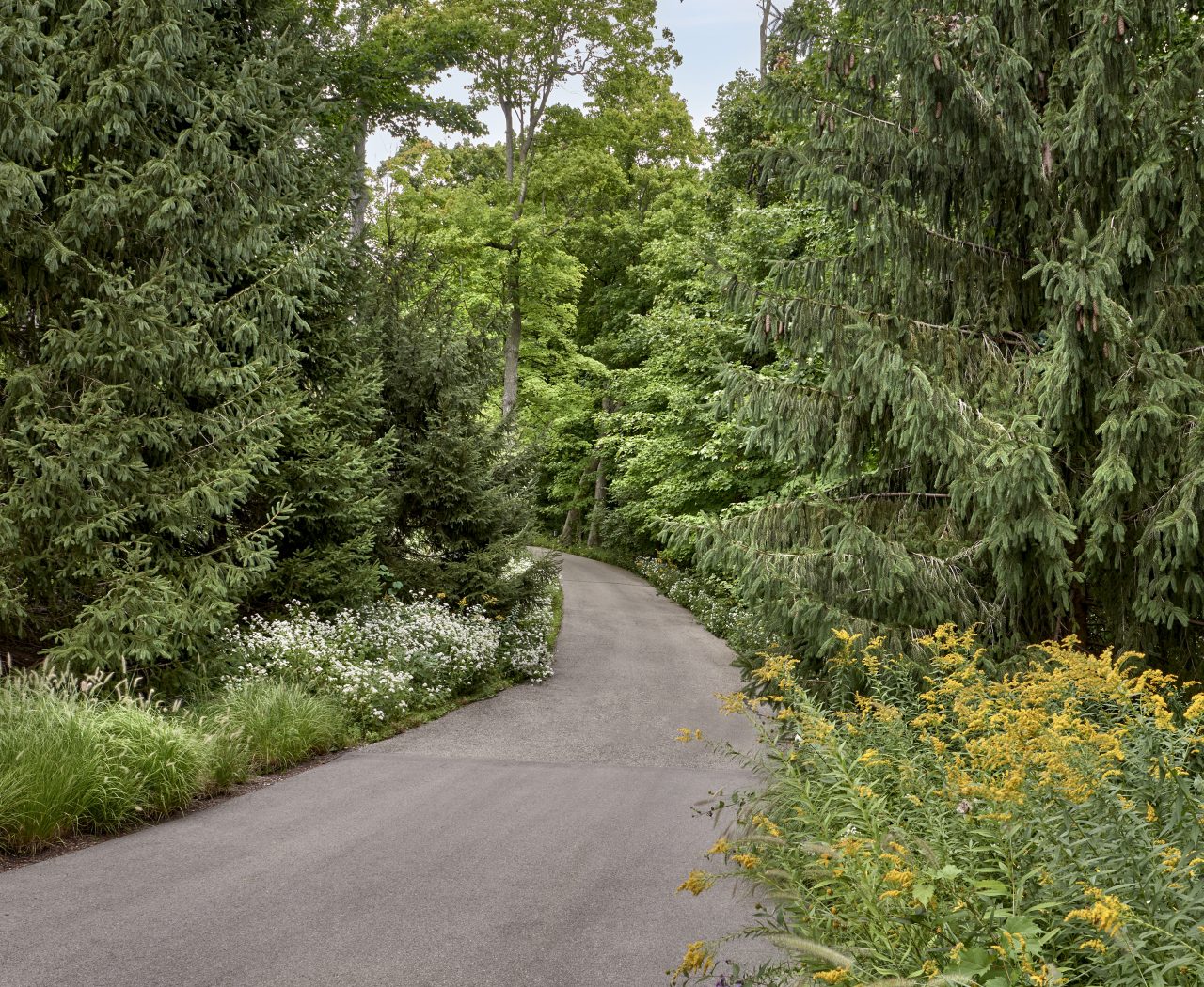Driveway with perennials and natural surroundings
