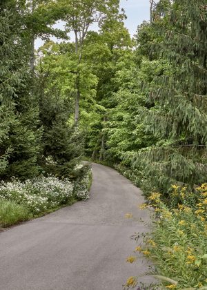 Driveway with perennials and natural surroundings